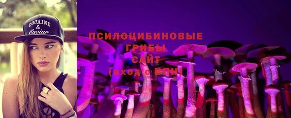 PSILOCYBIN Армянск