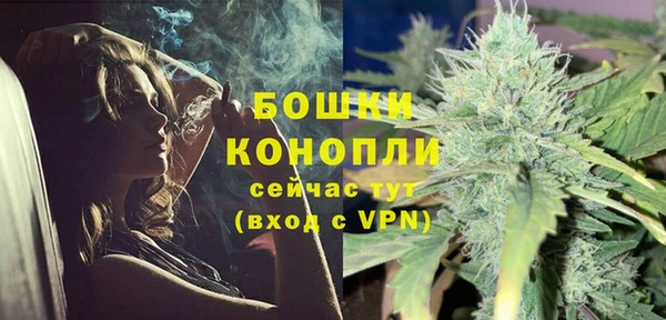 PSILOCYBIN Армянск