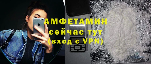 индика Балабаново