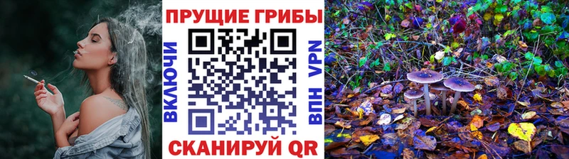 мега сайт  Николаевск  Псилоцибиновые грибы Psilocybe 